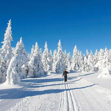 Ferienhauspark Σπίτι διακοπών Hasselfelde